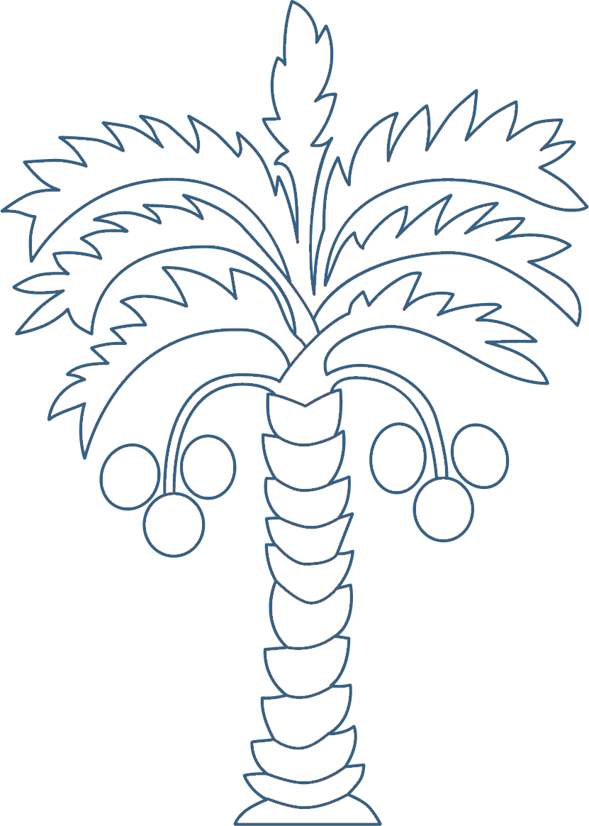 Date Palm - Zahava