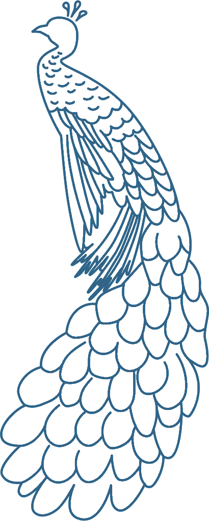 Peacock - Zahava